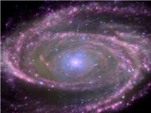 M81