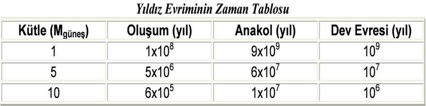 evrim tablosu